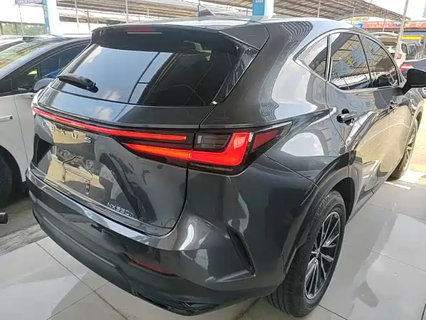Lexus NX 2024, фото 6