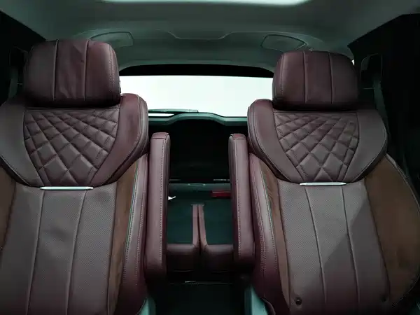 Hongqi E-HS9 2021, фото 28