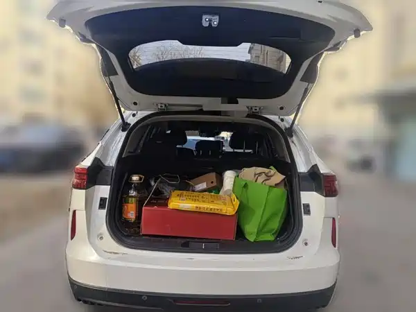 Haval H6 2021, фото 9