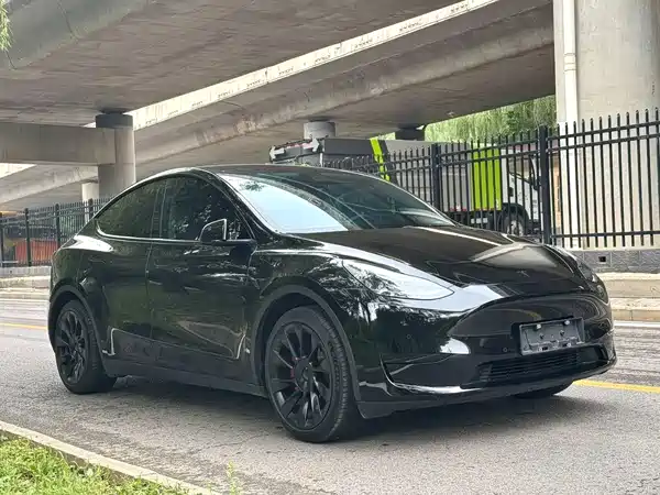 Tesla Model Y 2022, фото 3