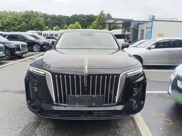 Hongqi E-HS9 2021, фото 3