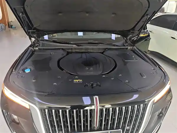 Hongqi H9 2023, фото 19