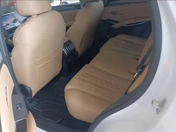 BYD Song L DM-i 2024, фото 13