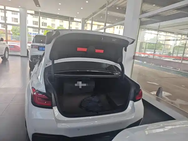 BMW 5 Series PHEV 2022, фото 20