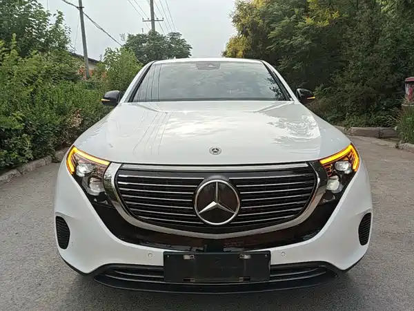 Mercedes-Benz EQC 2021, фото 2