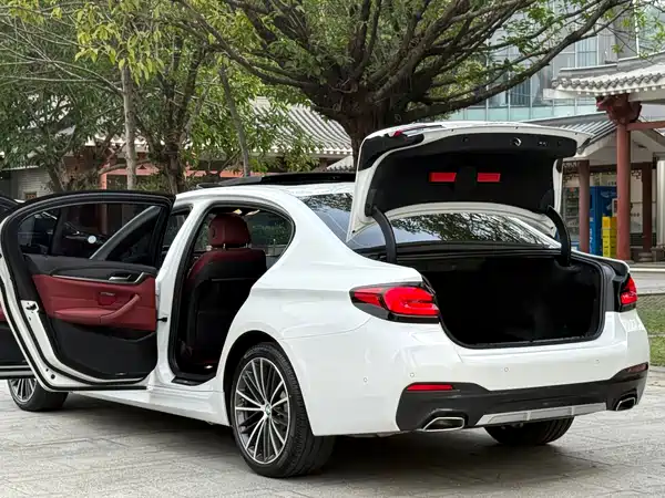BMW 5 Series 2022, фото 21