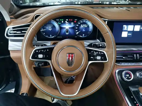 Hongqi H9 2023, фото 10