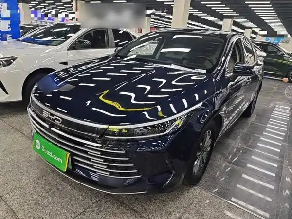 BYD Destroyer 05 2024