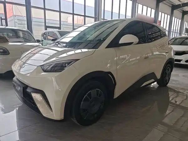 BYD Seagull 2025