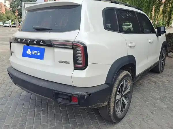 Haval Dargo 2021, фото 3