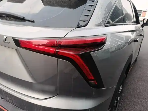 Haval Shenshou 2022, фото 7