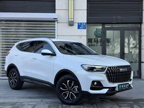Haval H6 2023, фото 3