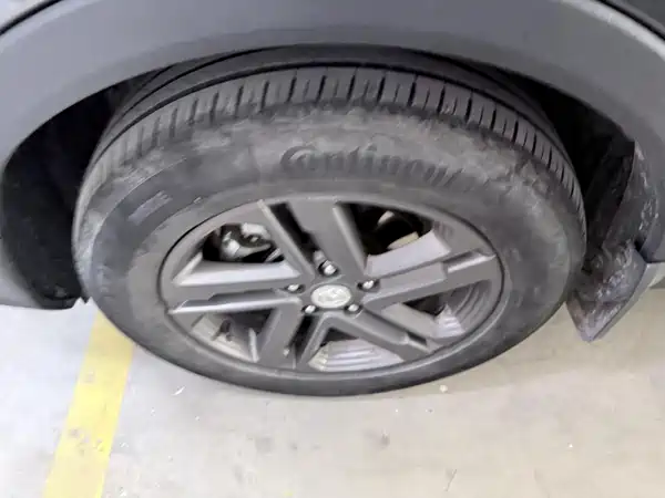 Changan CS55 PLUS 2021, фото 4