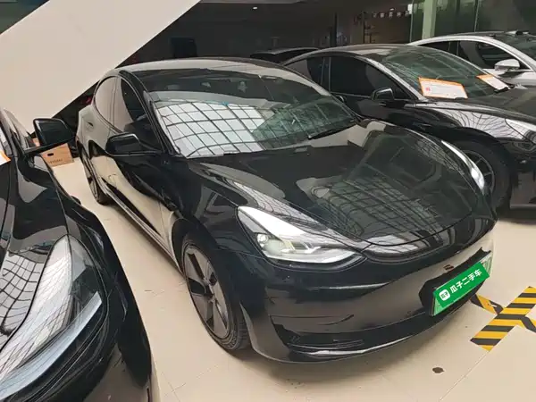 Tesla Model 3 2022, фото 3