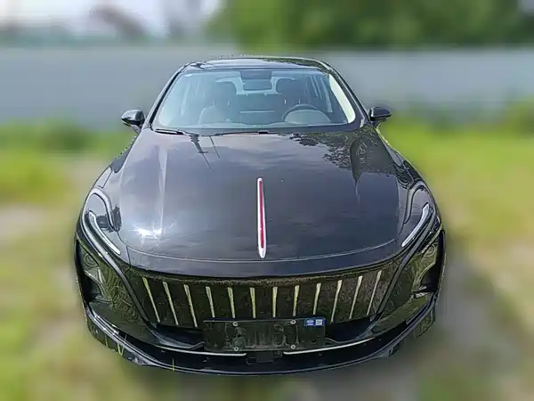 Hongqi E-QM5 2023, фото 4