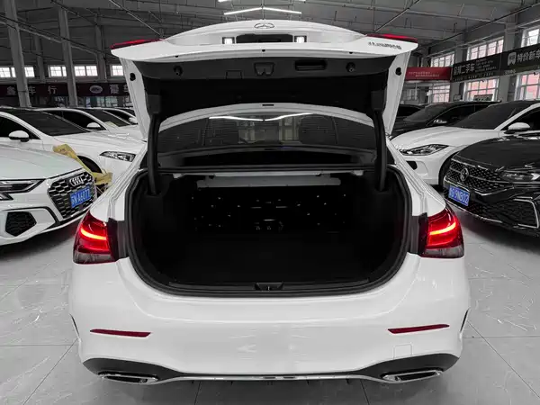 Mercedes-Benz A-Class 2022, фото 19