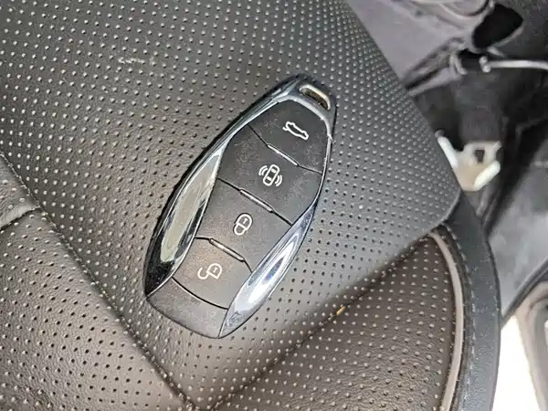 Hongqi HS7 PHEV 2024, фото 9