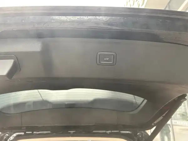 Hongqi HS7 PHEV 2024, фото 10