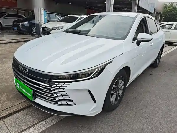 BYD Destroyer 05 2024