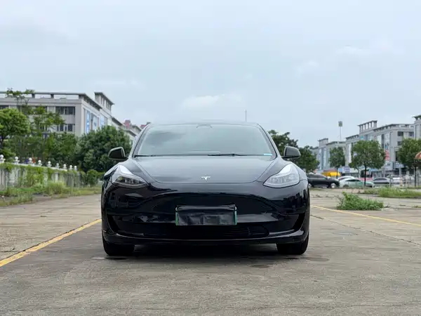 Tesla Model 3 2022, фото 2