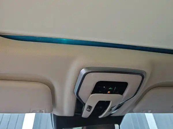 Hongqi E-HS9 2022, фото 18