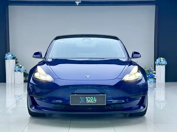 Tesla Model 3 2022, фото 2