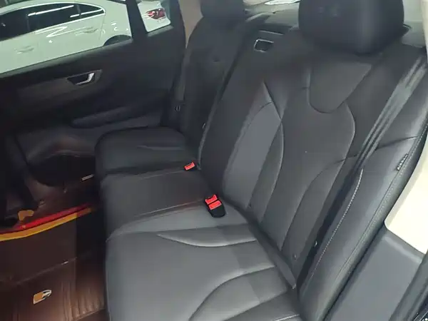 Hongqi E-QM5 2023, фото 16