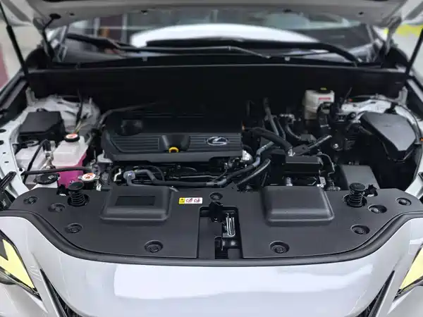Lexus NX 2023, фото 37