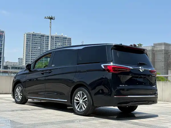 Buick GL8 2023, фото 7