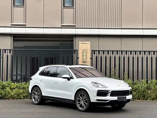 Porsche Cayenne 2022, фото 3
