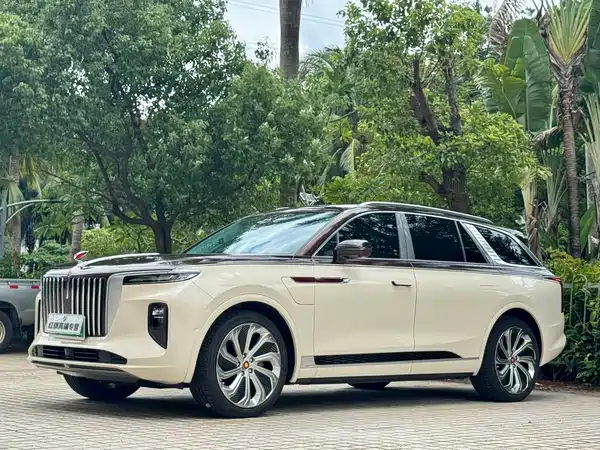 Hongqi E-HS9 2022