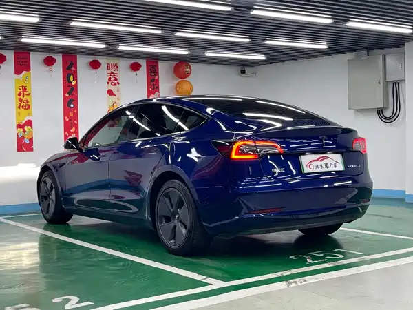 Tesla Model 3 2021, фото 7