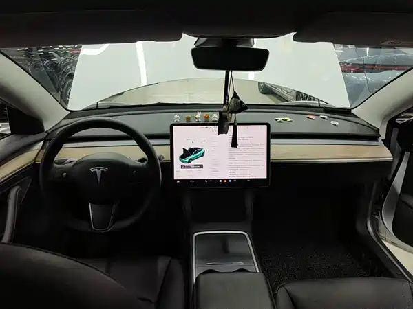 Tesla Model 3 2021, фото 11
