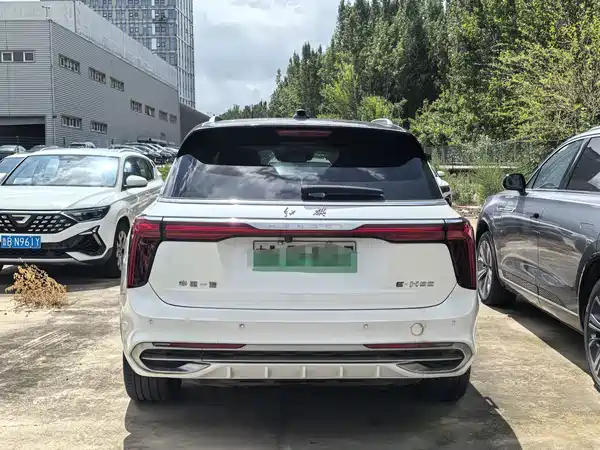 Hongqi E-HS9 2022, фото 3
