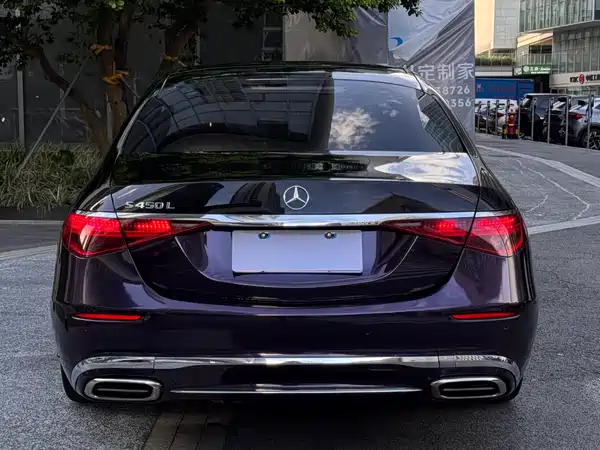 Mercedes-Benz S-Class 2022, фото 11