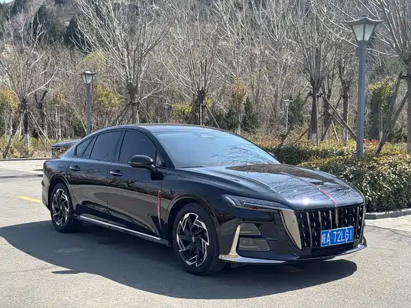 Hongqi H6 2023, фото 3