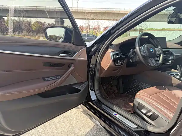 BMW 5 Series PHEV 2022, фото 6