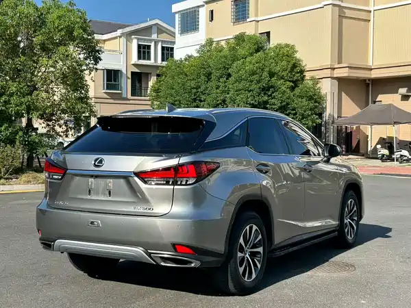 Lexus RX 2020, фото 6