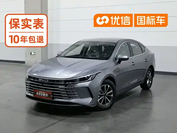 BYD Destroyer 05 2024