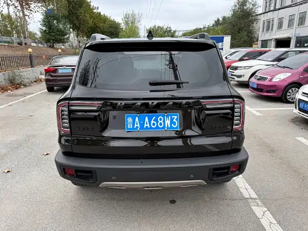 Haval Dargo 2021, фото 5