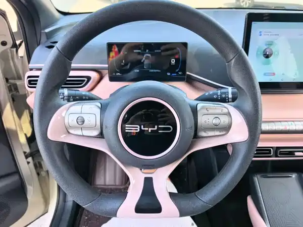 BYD Seagull 2023, фото 10