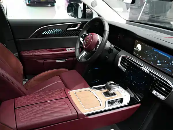 Hongqi E-HS9 2021, фото 29