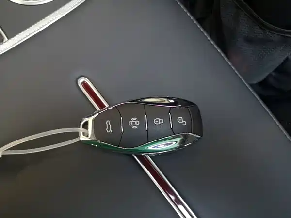 Hongqi HS3 PHEV 2025, фото 9