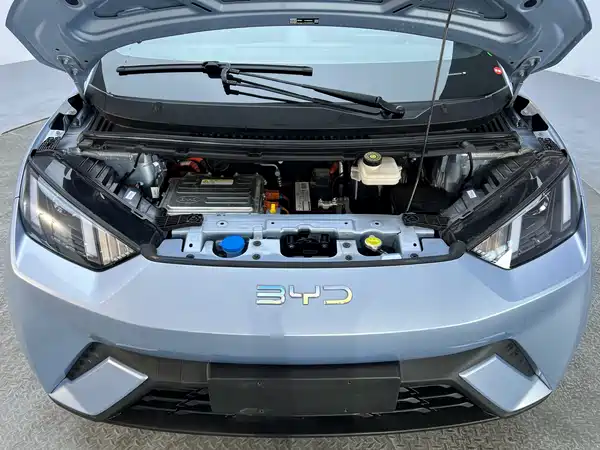 BYD Seagull 2024, фото 17