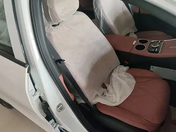 Geely Galaxy L6 2025, фото 25