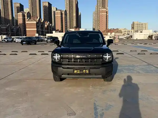 Haval Cool Dog 2022, фото 4