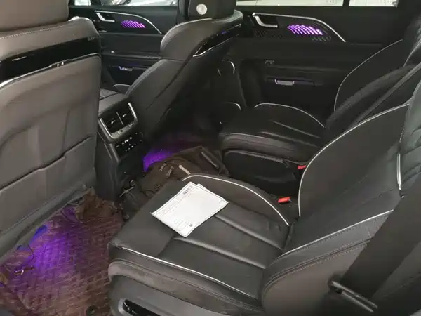 Hongqi E-HS9 2022, фото 17