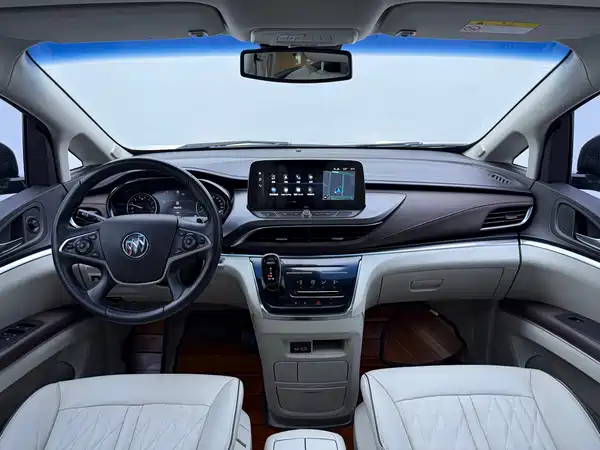 Buick GL8 2022, фото 10