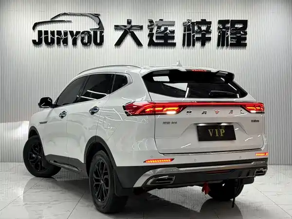 Haval H6 2023, фото 6