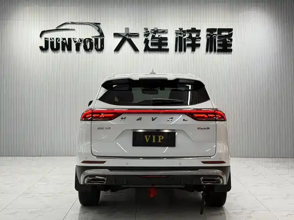 Haval H6 2023, фото 5